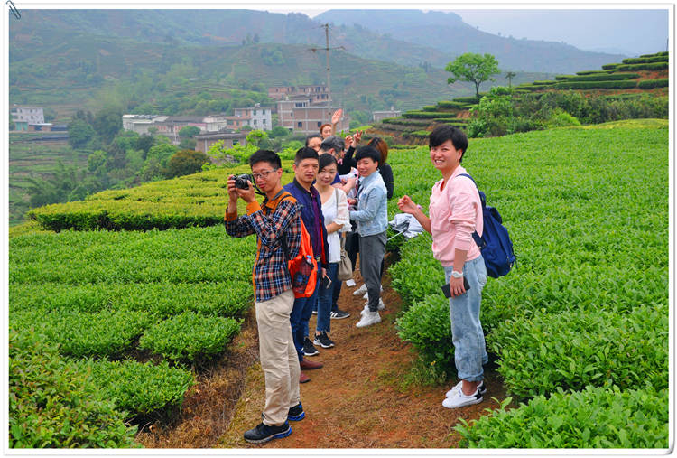武夷山茶艺培训哪里报名?