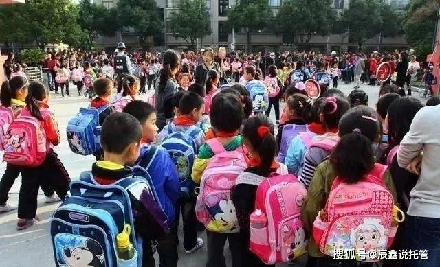 #辰鑫托管 #兑泽科技 #轻资产创业 为什么说校外托管行业是蓝海市场，朝阳行业