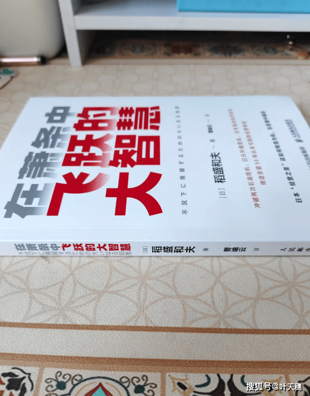 在萧条中飞跃的大智慧