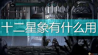猫币有什么用(猫币有什么用途)