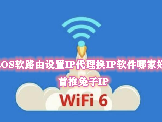 好用的换ip软件(好用的换ip软件分享)