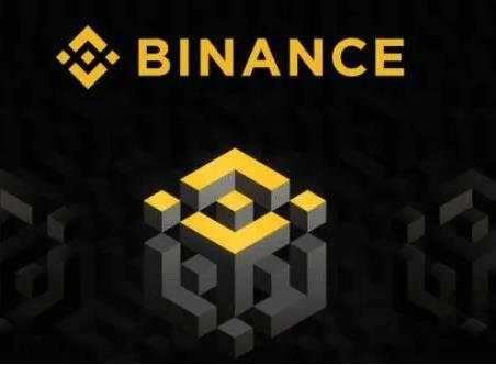 binance怎么下载不了(binance app download)