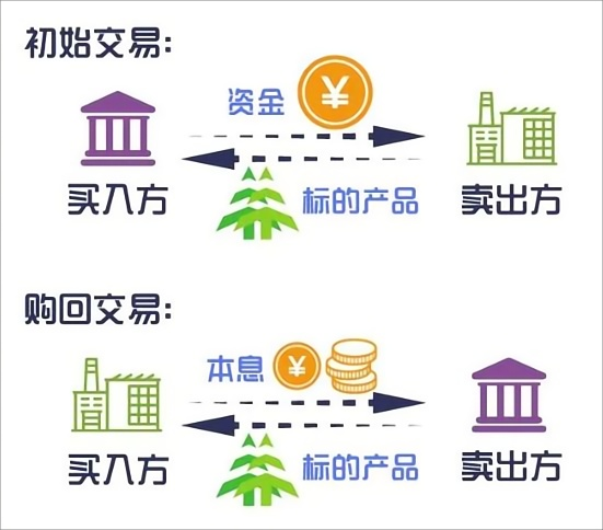 正回购交易(正回购交易品种)