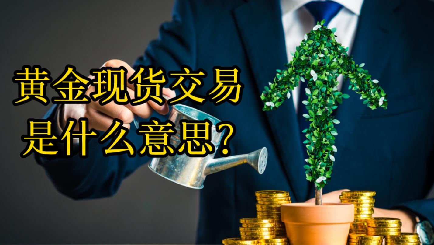 什么是电子现货交易(什么是电子现货交易平台)