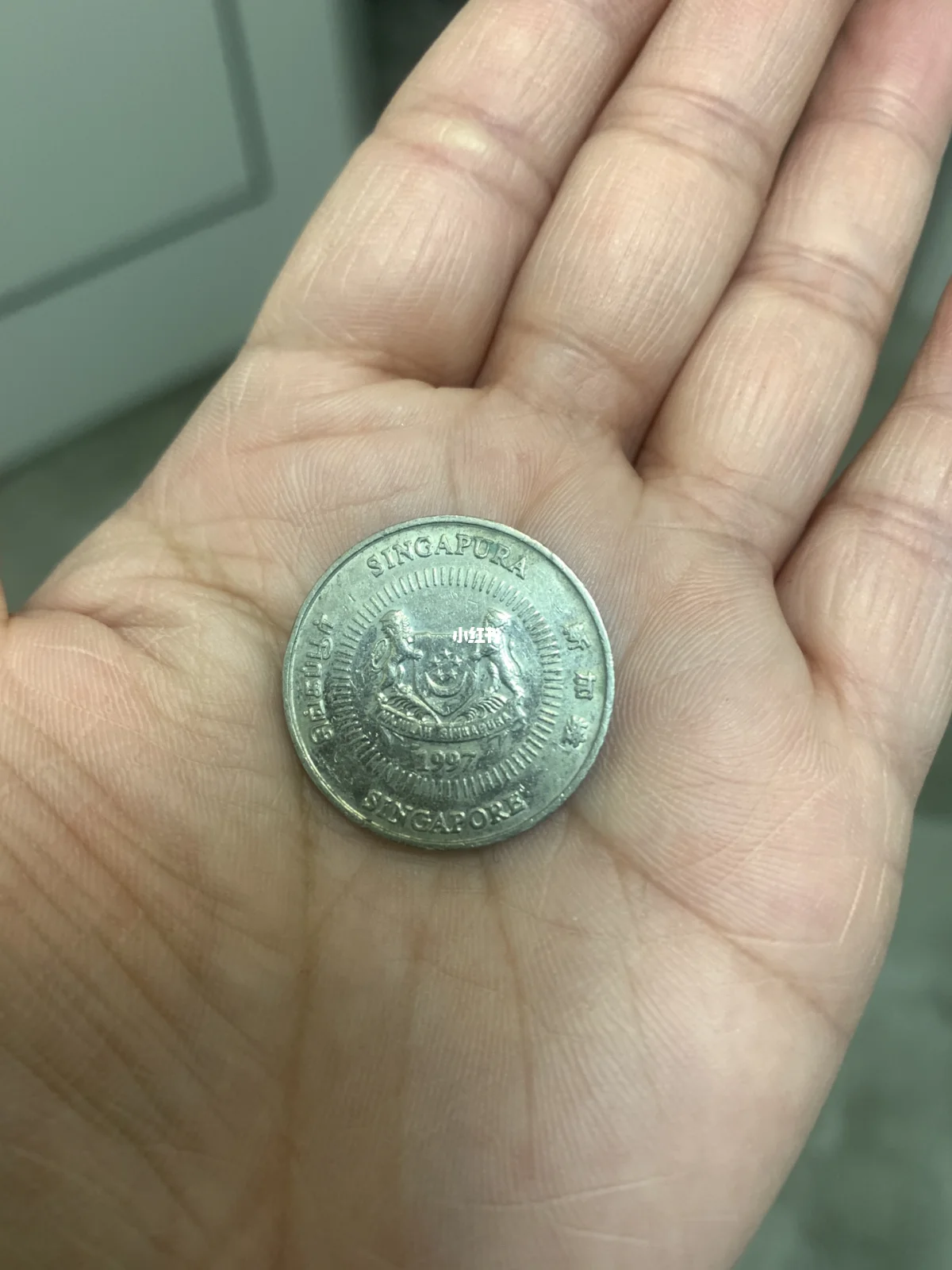 这是什么币(这是什么币英语)