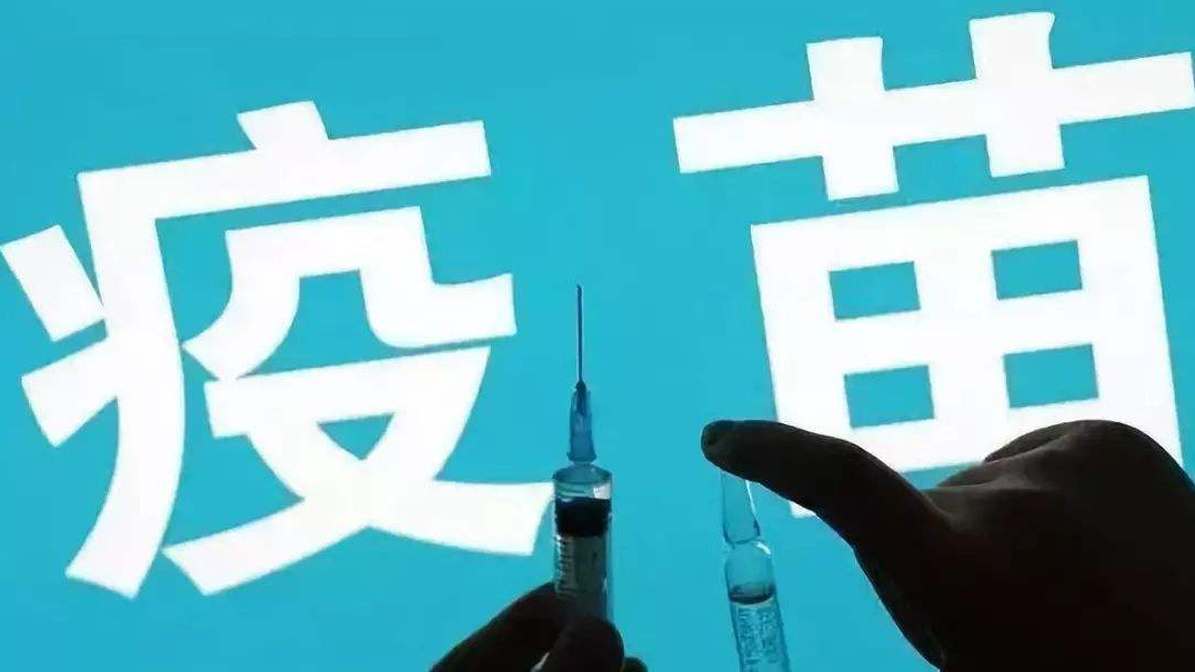 币圈一天人间十年(币圈一天人间十年图片)