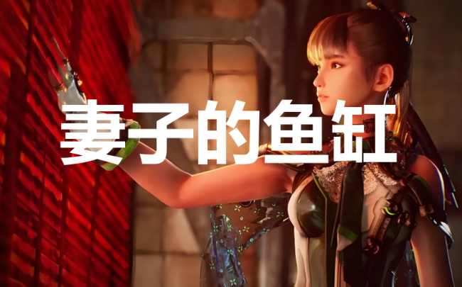 维特币是什么(维特币能上市吗)